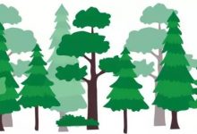 社会发展、金融能力与社会工作参与反贫困_社工周刊