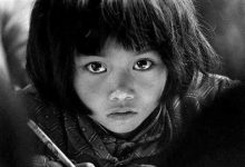 秦晖:中国第三部门发展与演进的趋势_社工周刊