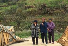 乡村振兴,NGO在广州深山探出艺术新路_社工周刊