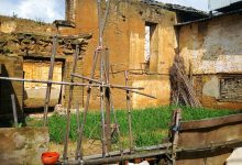 宏仁村的“堂吉诃德”_社工周刊