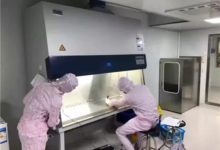 一场疫情,炸出了多少“霸道总裁”……_社工周刊